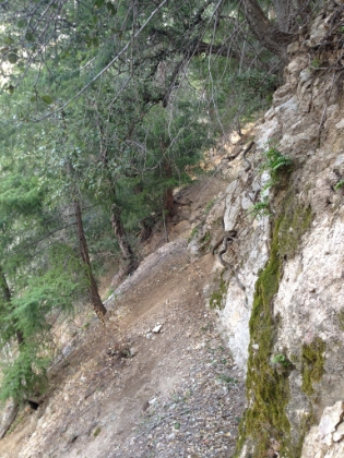 Uh, where's the trail? All that's left of the trail here is about 6 inches hugging along the cliff. For some reason it didn't bother me coming down, but maybe because I'm going slower on the way up and have more time to think about it, it's bothering me a little now. It occurs to me that it's a pretty steep dropoff and I'm basically walking tight-rope style, one foot in front of the other, on loose dirt. One of the few times I've ever had a touch of vertigo on dry trail.