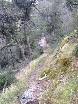 More great single-track, this time with a little less exposure.