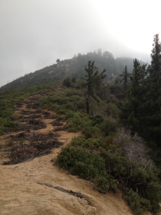 Made it back to ridge in really good time. Smith Mtn is shrouded in clouds now, and there is zero view of the snow capped peaks. I didn't see a single human in Bear Valley, and only a couple on the front side, one of which was just coming up to the ridge now. They probably didn't realize the view they were missing.