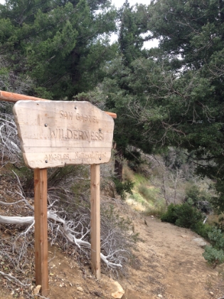 Heading down the backside from the ridge into the San Gabriel Wilderness. I had read that the trail is not maintained from here on out.