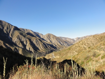 Made it up to the ridge above the road. The trail was mildly overgrown, but not bad at all. My hopes were rising that my route could still be doable.