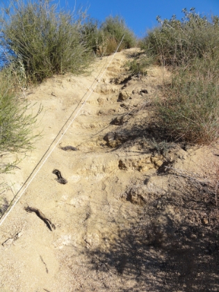 The trail was steep to the point that there were steps cut into the hill and a makeshift guardrail. It didn't seem to be going anywhere interesting, and I almost turned around. But then...