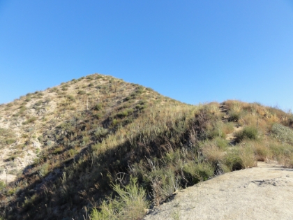On the way back down, I saw a steep little offshoot going up to a nearby peak. After debating about whether to see where it went, I figured "what the heck, who knows when I'll be here again", so I headed-up.