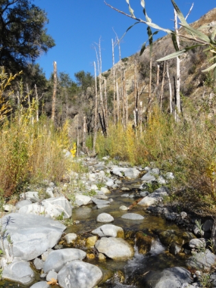 Hopefully they restore the trail here eventually, because it's a great area. But it will require a ton of work, and with limited funding, who knows if it will ever happen.