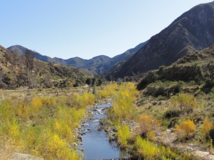 Tujunga Canyon