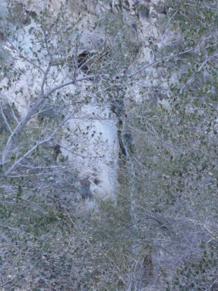 The upper (big) portion of Switzer Falls. It looks like it's easily a couple hundred feet tall.