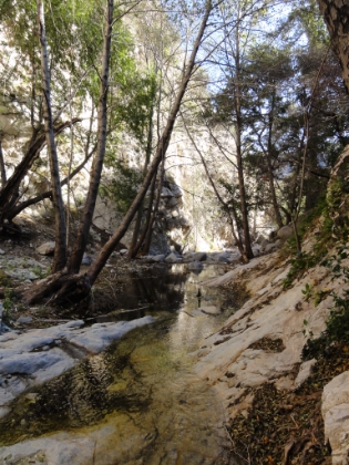 There is no official trail above the falls, but it was clear people head back here hoping to get all the way to the base of the big waterfall. I followed for a ways and then turned around.