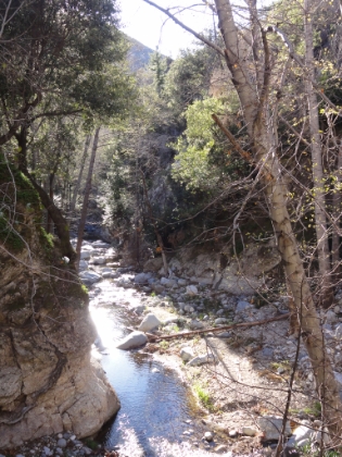A look down Little Bear Canyon, which branches out from Bear Canyon.