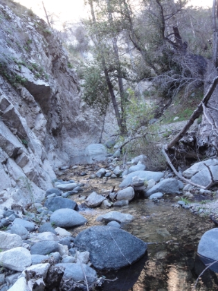 Doesn't look Bear Canyon will be runnable either. Another beautiful canyon with a completely washed out trail. There are short stetches of visible trail and then it basically becomes rock hopping back and forth across the creek.