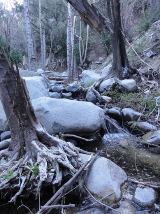 Everything is torn-up. The water raging through here in the Spring floods this year must have been amazing.