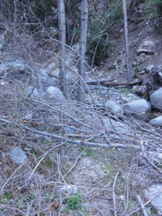 I was growing tired of navigating through and around this sort of stuff, and it was just about my turnaround time, so I decided to call it a day and head back.