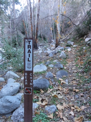 Found the Bear Canyon trailhead, though the trail dissapears again shortly past this point.