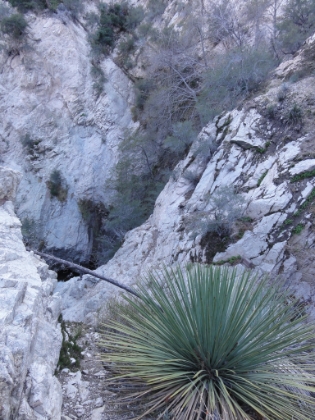 Back to the Switzer Falls trail. I took the short detour to the top of the big falls. You can't really see the falls, and I didn't want to get too much closer to the edge. So back to the car, and another day on the trails complete.