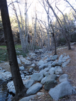 Switzers has a short, very popular, 1.5 mile trail that heads out to a little waterfall. It was crowded, but at least it was followable. It felt good to actually be able to run a bit.
