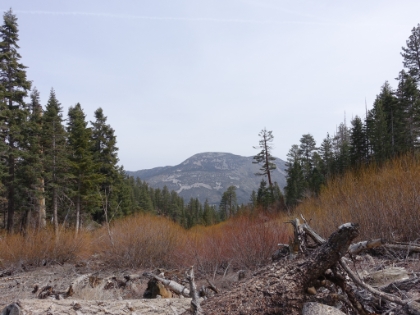 Heading up the South Fork trail.