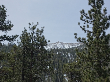 The San Gorgonio summit.