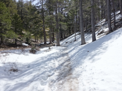 The snow and ice started to get a little heavier, and I had already passed my turnaround time. So, this would have to be my destination for the day, just short of Dry Lake.