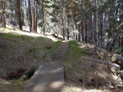 Soft, cushy trail in places, tecnical and rocky in others.