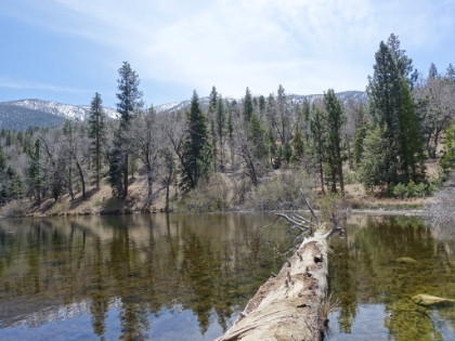 West end of the lake.