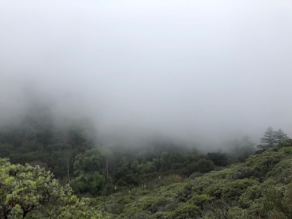 I really had zero idea what to expect on this trail, so it had constant surprises! Here dropping into the valley where the South Fork of the San Jacinto River runs. It's lush, green, and in the fog, it felt like a rain forest. I didn't even know there was a San Jacinto river.