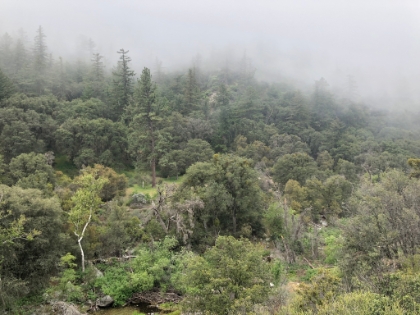 Almost down to the valley floor.