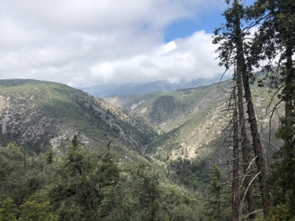 Starting to open to up to some nice views of the valley below.