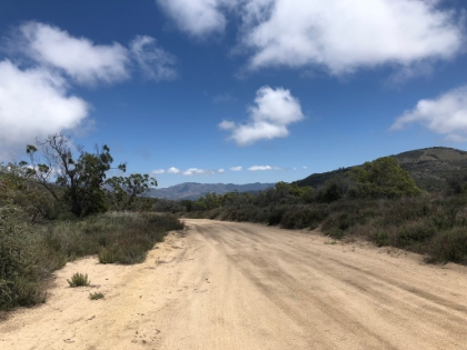 Ultimately, the trail ends at a fireroad, which was my official turnaround spot. Now I had to rush back down and hope I could find the trail again on the way back.