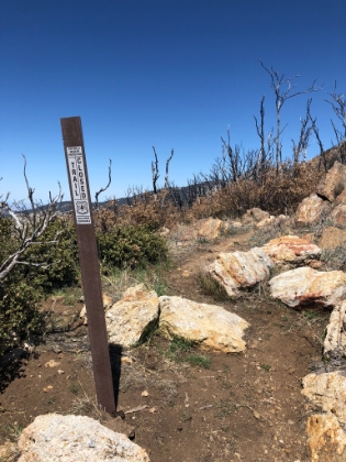 The PCT is still closed to the North from here to Tahquitz Peak.