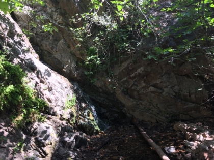 On the way down, I took the waterfall detour. In all the times I have been here, it has never been anywhere near this dry, at any time of year. It was very sad to see.