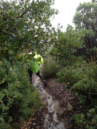 Running on single track while trying to straddle the river was an interesting challenge. Dr. Rock shows how it's done.