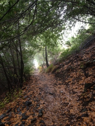 Fall Snow on Santiago