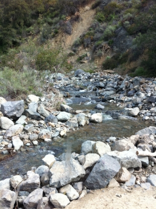 The original plan was to take Holy Jim to the top. But, as I start to head-up Trabuco Creek "road", I start to see scenes like this. A random cascade alongside the road where I've never seen a drop of water before. I start to get the feeling this wouldn't be a normal Holy Jim day.
