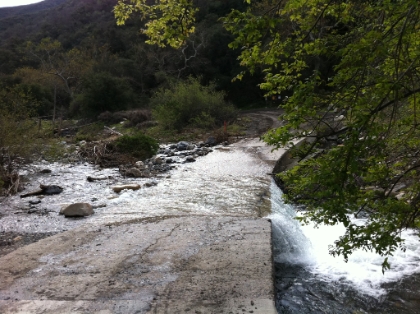 By the time I get close to the first wash about half way to the Holy Jim trailhead, I pass a "Road Closed" sign and barricade. I drive around it thinking "ya right". Once I hit the wash though, the gate is closed, and there is a Ranger and his truck guarding it. He says they have heavy equipment still clearing the road and can't let anyone on it. I beg and plead, but he won't let me pass, not even on foot.  I finally give up and just snap a picture from over the gate. I've been here when this spot was just wet, not even really flowing. You can't get a sense of the velocity of the water in the picture, but it's roaring! And the ranger said it was 2 feet higher a couple days earlier. I wouldn't want to go across that in a small car.