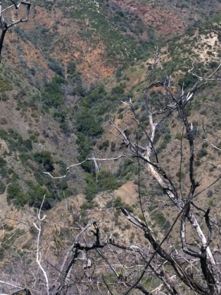 A good size waterfall in the distance. You can hear it througout the valley. It's probably not this big all too often.