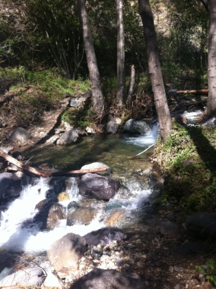 Santiago Creek is loud and moving fast. It's absolutely beautiful down here.