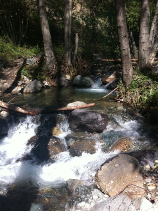 The first of many creek crossings over the next couple of miles.