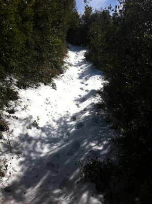 Before long the snow becomes larger patches and then consistent stretches. It's odd seeing snow in the chapparal on an otherwise warm day.