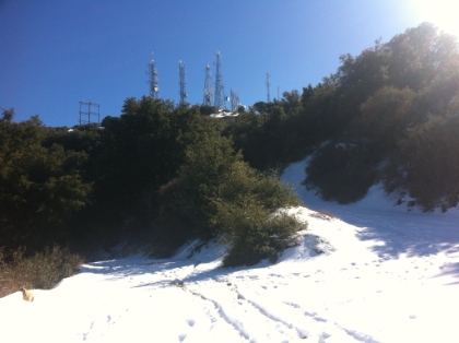 The trail joins the main fireroad above upper Holy Jim just below the top. Anyone who's done Santiago with me has been at this spot, but probably not when it looked like this!