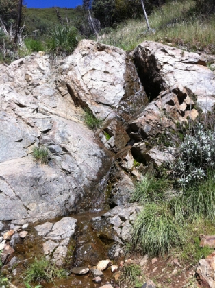 There was water on the trail in a few places where I've never seen a drop before.