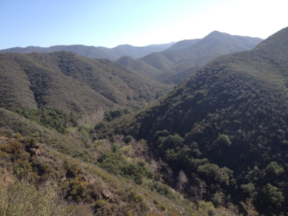 The trail starts getting back into taller vegatation as you near the bottom of San Mateo Canyon. The trail here is a bit of a slip and slide coming down.