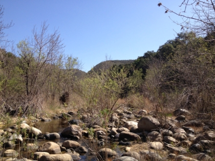 Another view of the creek.