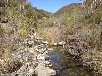 Bluewater Creek. Smaller than San Mateo, but really nice. The trail crosses back and forth across the creek 7 or 8 times and gets hard to find in places.