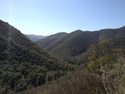 Now the trail is officially starting to climb up out of Bluewater Canyon, and it's steep! It's about a 1300' mile, which is a power hike at best.