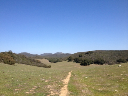 You wouldn't think there'd be large meadows in Orange or Riverside Counties, but here you go. The meadows at Oak Flat. Unfortunately, there's a small herd of cows (and 1 big bull) that grazes here, but I didn't seen them today.