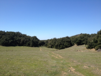 The trail starts to loop back around to the North now as it heads towards Oak Flat. The private community of Rancho Carillo is just West of here, seven miles up a winding road from Ortega Highway. Those residents have easy access to these trails, but for anyone else, you have to do the 20 mile loop.