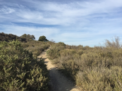 There's a tiny stretch of single track (and even a tiny bit of elevation gain) if you know where to look.