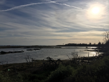 My favorite area of the wetlands.