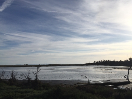 This would have been all but gone had developers been approved to build 5,000+ homes here. The  history of the wetlands  is pretty fascinating, definitely worth a read.