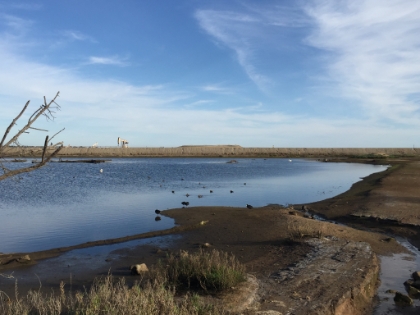 If only there weren't oil derricks in view.