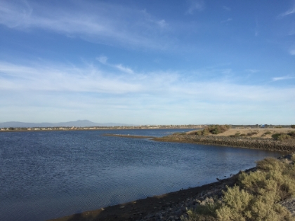 Definitely beats running on the street.